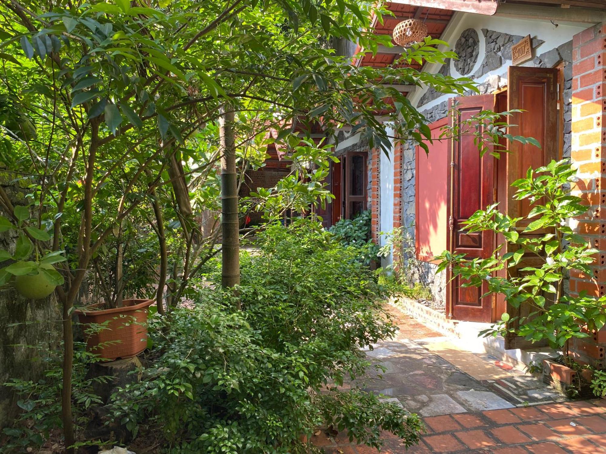Tam Coc Ngo Dong Homestay Ninh Binh Eksteriør bilde